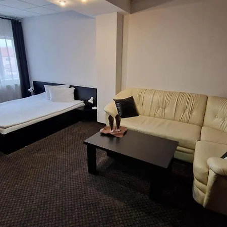 Pensiunea Stefan Guest house *
