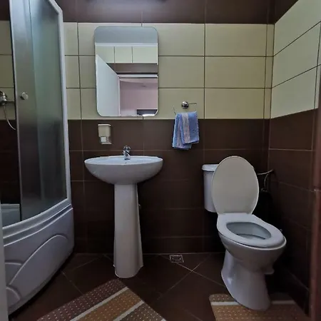Guest house Pensiunea Stefan *